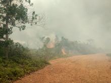 Warga Mengungsi dari Kebakaran 20 Hektare Lahan di Tanjungpinang