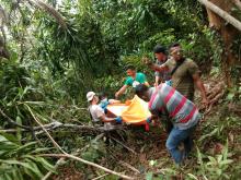   7 Fakta Mayat Mengering di Pohon Setinggi 10 Meter di Natuna