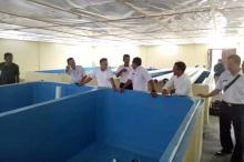 Dinas Perikanan Lingga Aktifkan Balai Benih Ikan di Desa Kote