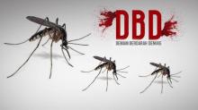 Siaga Corona, Dinkes Bintan Juga Waspadai DBD