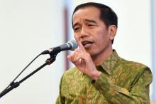 Jokowi: Aksi Kelompok Kriminal Tak Surutkan Rencana Pemerintah Bangun Papua