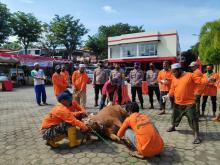 Polres Tanjungpinang Sembelih 11 Ekor Hewan Kurban