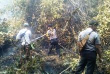 Rawan Terbakar, Polisi Awasi Lahan Gambut di Karimun