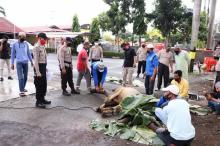 Polres Karimun Tebar Ratusan Kupon Daging Kurban