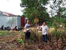 Sim Salabim! Tiga Desa di Bintan Tiba-tiba Berstatus Hutan Lindung