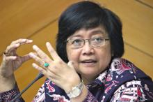 Ini Jawaban Menteri LHK soal Undang-Undang Perbolehkan Pembakaran Lahan 