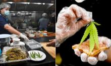 Restoran di RS Thailand Sajikan Menu Berbahan Ganja
