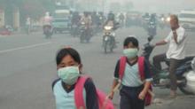 Perusahaan Pembakar Hutan Bebas, Hakim PN Palembang Diadukan ke KY