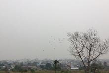 Kabut Asap di Karimun Mulai Bikin Nafas Makin Sesak