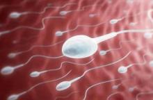 5 Cara Ampuh Bikin Sperma Sehat dan Subur