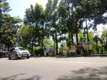 Spanduk Bacalon Pilkada Bertebaran di Tanjungpinang, Begini Kata Bawaslu