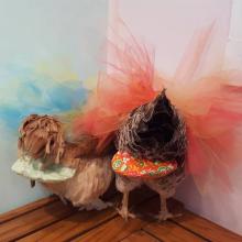 Jual Popok Ayam, Wanita Ini Untung Rp731 Juta?