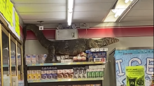 Biawak Raksasa Satroni Minimarket, Pengunjung Panik