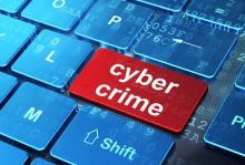 12 WNA Jaringan Cyber Crime Ditangkap Imigrasi Batam