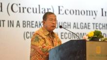 Ada Pabrik Hengkang dan PHK di Batam, Ini Respons Darmin