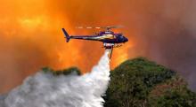 Lahan 8 Perusahaan yang di SP3 Terbakar Lagi, Ribuan Warga Kena ISPA