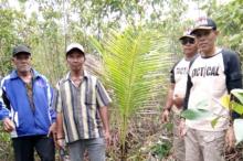 Bakesbangpol Lingga Aktifkan Kembali Perkebunan Kelapa di Pulau Talas