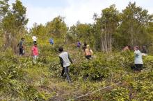 Camat dan Kades se-Temiang Pesisir di Lingga Buka Lahan Perkebunan Percontohan