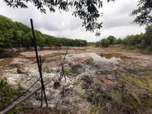 Dilanda Panas, Waduk di Tanjungbatu Kering