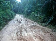 Akses Darat ke Objek Wisata Pantai Dungun Memprihatinkan 