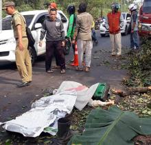 Ini Identitas Pengendara Tewas Tertimpa Pohon 
