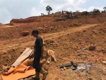 Pematangan Lahan PT AMJB di Bumi Perkemahan Punggur Diduga Ilegal