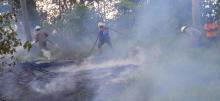 Kebakaran Lahan Disengaja Bikin Kapolres Bintan Geram