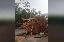 Tornado Hits Batam Areas, BMKG Explained The Situation