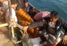 Pemancing Korban Perahu Terbalik di Perairan Sekupang Ditemukan