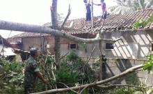 Tujuh Rumah Warga Desa Lancang Kuning Rusak Disapu Puting Beliung