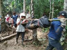 Wanita Hamil Terseret Longsor 2 Kilometer di Lintau