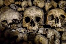 Hendak Ukur Lahan, Warga Bintan Malah Temukan Tulang Belulang Manusia