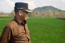 Awe Tunggu Keputusan Presiden soal Pulau Bakung