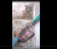 Tanjungbatu Geger, Video Mesum Pasangan Sejenis Viral