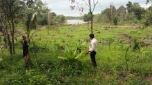 PDAM Bintan Nilai Pembabatan Hutan Sebabkan Air Waduk Menyusut