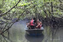 Cerita Menegangkan Polisi Buru Frengky di Hutan Bakau