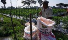 Bintan Krisis Pupuk Subsidi, Bupati Apri Minta Bantuan Pemprov