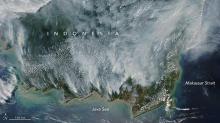 Mirisnya Kebakaran Hutan di Indonesia Difoto Satelit NASA