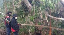 Camat Wanita di Meranti Ini Ikut Berjibaku Tangani Karhutla
