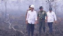 Cerita SP3 Perusahaan Pembakar Lahan dan Perintah Jokowi 