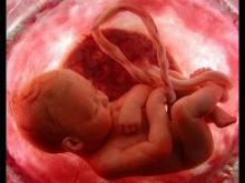 Humas BPJS Kesehatan: Calon Bayi Pun Bisa Masuk Jadi Peserta 