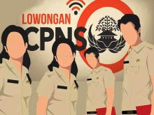 Waspada Lowongan CPNS Palsu, Ini Pesan Kabiro Kemen PAN
