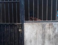 Pelaku Sodomi Dititipkan ke Shelter Dinsos Batam, Diduga Alami Gangguan Jiwa