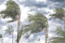 Gelombang Tinggi dan Angin Kencang Intai Bintan Bagian Timur