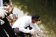 Satker Karantina Perikanan Natuna Tegur Penyuplai Kepiting Bakau yang Langgar Aturan