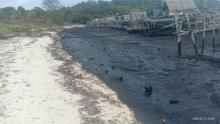 Potret Miris Kemolekan Pantai Bintan Dicemari Limbah Oli Internasional