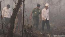 Jokowi Tak Pakai Masker Tembus Hutan di Sumsel, Sejumlah Pejabat Kerepotan