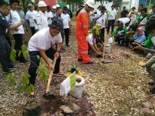 PLN Batam Tanam 200 Pohon Tabebuya di PLTGU Tanjung Uncang