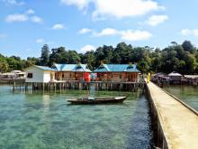 Menemani Nemo Menggumuli Laut Pulau Abang Batam