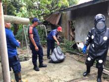 Teror Tawon Resahkan Warga Tanjunguban 